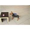 Nordico Biscuit Acet.- Matt Cream 330x330mm